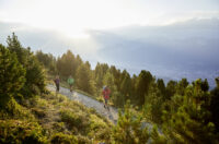 Im Urwald hoch über Innsbruck – Der Zirbenweg