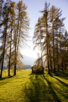 „Indian Summer“ am Mieminger Plateau