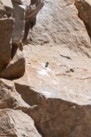 Black Diamond Gear Myths: Bohrhaken sind immer bombenfest, richtig?