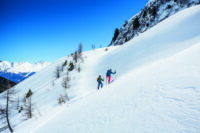 StiX by Contour Skistöcke – Stabil, leicht, ausbalanciert