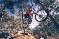 Simplon Rapcon Pmax Pinion