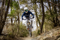 Simplon Trailblazers