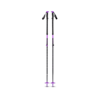 Expedition Carbon Ski Poles