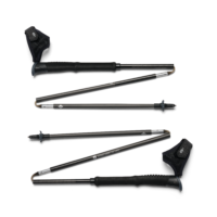 Black Diamond Distance Carbon Z FKT Poles